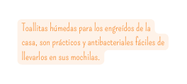 Toallitas húmedas para los engreídos de la casa son prácticos y antibacteriales fáciles de llevarlos en sus mochilas